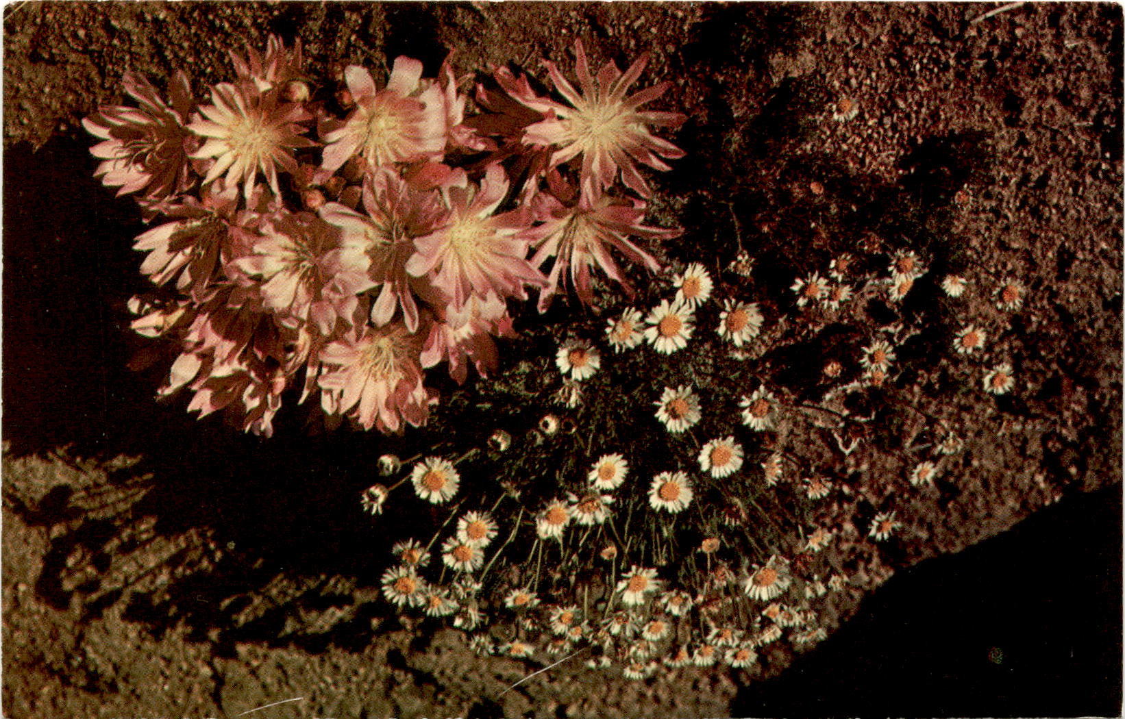 Montana, Bitterroot, Lewis, Captain Lewis, Native Americans, highways ...